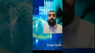 GCSE Science in a minute  Stem cells biology science gcse school education [upl. by Sheldon]