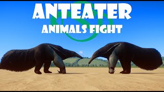 Giant Anteater Fight in Planet Zoo  Animals Battle [upl. by Bremen]