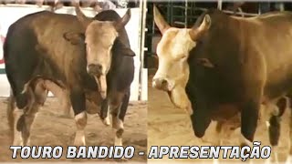 Esnar Ribeiro ● Apresenta o Touro Bandido [upl. by Rosana]