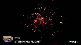 Stunning Flight 100SchussFeuerwerkVerbund von LESLI [upl. by Spada]