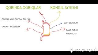 Gastrit Kasaligini kelib chiqishi Belgilari va Davolash [upl. by Aiuqes767]