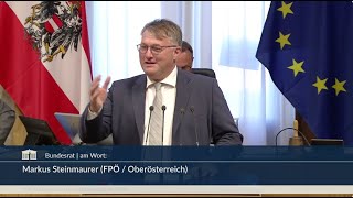 Markus Steinmaurer  Gewerbeordnung Bundesabgabenordnung quotGracePeriod Gesetzquot  2952024 [upl. by Prent962]