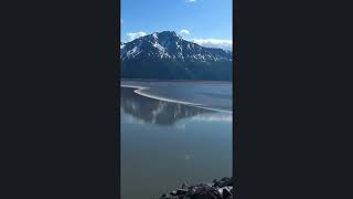 Turnagain Arm’s BoreTide AK [upl. by Nakashima]