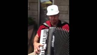 Hello dolly On accordion [upl. by Adyaj]