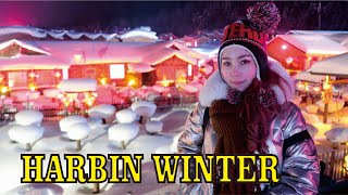 HARBIN WINTER NEW YEAR 2020 [upl. by Bayer757]