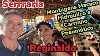 Carrinho Pneumático e Macaco Hidráulico virador de toras na serraria estreia [upl. by Philipa]