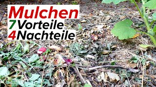 Mulchen 7 Vorteile und 4 Nachteile vom Mulchen im Garten Mulchst du deine Beete [upl. by Daniel]