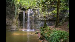 🍃Woda i Ptaki w Lesie 1  Odgłosy Natury Muzyka Relaksacyjna Tło Muzyczne🎧👍 [upl. by Malliw]