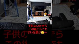 【子供のいたずら】一目散に逃亡💨 [upl. by Accem]