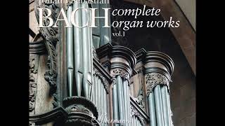 J S Bach  Complete Organ Works played on Silbermann Organs  CD 0119 [upl. by Banebrudge987]