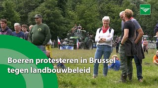 Boeren protesteren in Brussel tegen landbouwbeleid [upl. by Darill426]