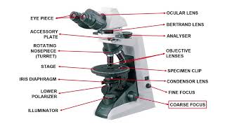 Polarizing Petrographic Microscope  Optical Mineralogy Part4  GeologyConceptscom [upl. by Atnom527]