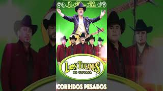 Lo Mejor de LOS TUCANES DE TIJUANA  Mis Tres Animales 🎸 Corridos Pesados Mix [upl. by Straub721]