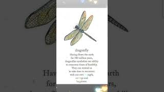 Dragonflies symbolizes our ability [upl. by Andrew]