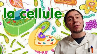 La cellule [upl. by Sylvan]