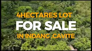 4 HECTARES LOT FOR SALE IN INDANG CAVITE [upl. by Donal]