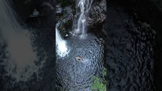 Wild Swimming in Galloway Forest Park [upl. by Winslow]