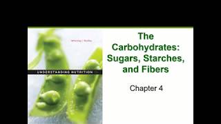 The Carbohydrates Chapter 4 [upl. by Matilde]