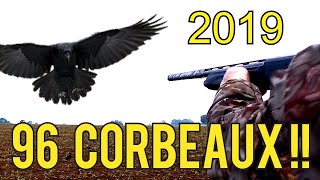 Chasse corbeaux 2019 [upl. by Aehcim216]