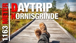 Der HÖCHSTE GIPFEL des Nordschwarzwalds 🚶 🎒 Wanderung auf die Hornisgrinde  DAYTRIP [upl. by Philine215]