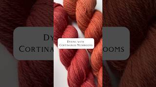 Let’s Do a Natural Dye with Cortinarius Mushrooms mushroom dyeing fungi diy naturaldye [upl. by Wilmott]