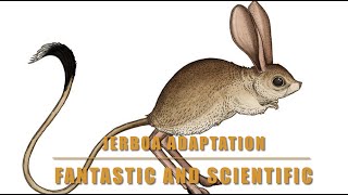 Jerboa Jerboas Jerboa Adaptation Adaptation In Jerboa Adaptation In AnimalsJerboa adaptation [upl. by Andre71]