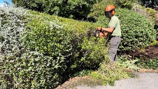 Tidying Homeowners Overgrown Driveway area [upl. by Outlaw]