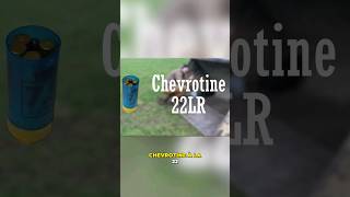 De la chevrotine avec de la 22lr [upl. by Dirgis840]