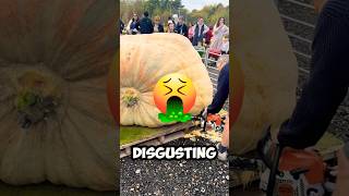 Whats Inside The Biggest Pumpkin Ever 🤯 [upl. by Jeannette]