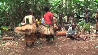 Traditional Baka womens dance East region Cameroon [upl. by Fitzgerald]