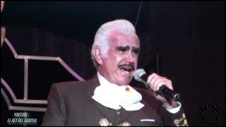 Vicente Fernández  Un Millón De Primaveras Cover Audio [upl. by Kurtzig]