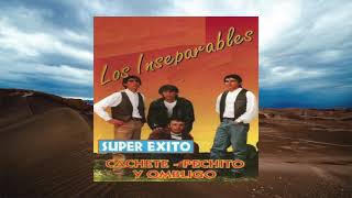 Los Inseparables  Super Éxito Cachete Pechito y Ombligo Álbum Completo [upl. by Eetnom]