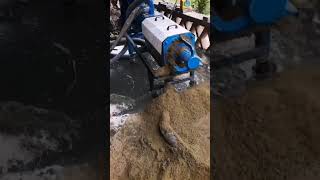 Chicken manure dewatering machine [upl. by Lust]