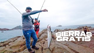 NUEVO PUNTO DE PESCA 🐟DONDE LAS SIERRAS SALEN GRATIS DE ORILLA❗️🤑🎣 [upl. by Greeley656]