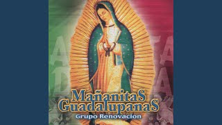 Las Mananitas Guadalupanas [upl. by Popelka905]