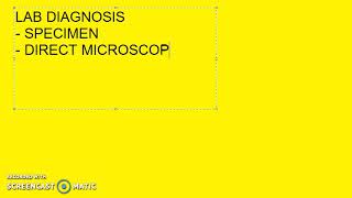 Microbiology 370 c LeptoSpirosis Weils Disease Lab Diagnosis [upl. by Aiyotal]