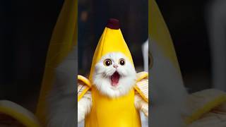 Tom sings change cat to a yellow banana meow [upl. by Oflodor100]