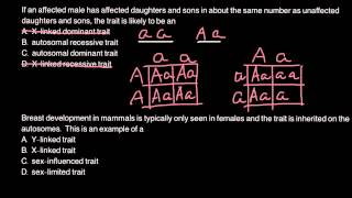 How to solve genetics problems with Punnett square [upl. by Sofer431]