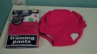 Review Gerber Training Pants Old and New Designs [upl. by Rosecan973]