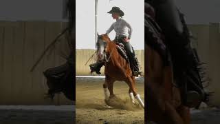 SPORT TV22 Spektakulärer Spin beim Reining  Westernreiten shorts [upl. by Rheims]