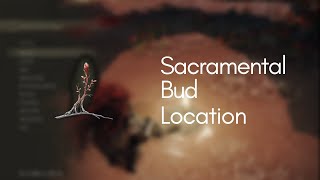 Sacramental Buds Location in Elden Ring [upl. by Darb566]