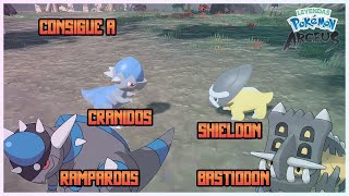 Como Conseguir A CRANIDOS RAMPARDOS SHIELDON Y BASTIODON En Leyendas Pokemon Arceus [upl. by Nalak]