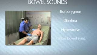 HAL® S3201  Part 9  Bowel sounds [upl. by Oel]