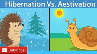 Hibernation vs Aestivation Different between hibernation amp Aestivation [upl. by Earb]