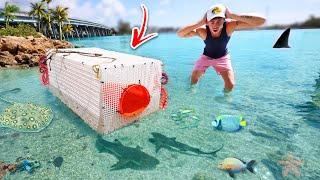 We Built a MASSIVE SALTWATER FISH TRAP INSANE [upl. by Rawden604]