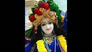 krishna shlok on karma krishna shlok in sanskrit krishna shlok yada yada hi dharmasya shorts [upl. by Assirat324]