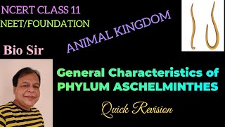 Aschelminthes Class 11 NCERT Animal Kingdom [upl. by Bremen]