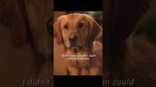 The puppy hadn’t thought of his mistress making that noiseshorts viralvideo shortsvideo [upl. by Odlanyar]