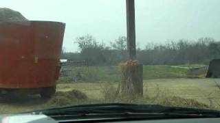 Watching The Feed Truck And Mixer Wagon Being Loaded [upl. by Adelpho]