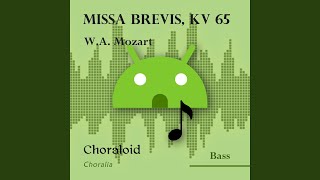 Missa Brevis KV 65 Sanctus All voices [upl. by Llerehc]